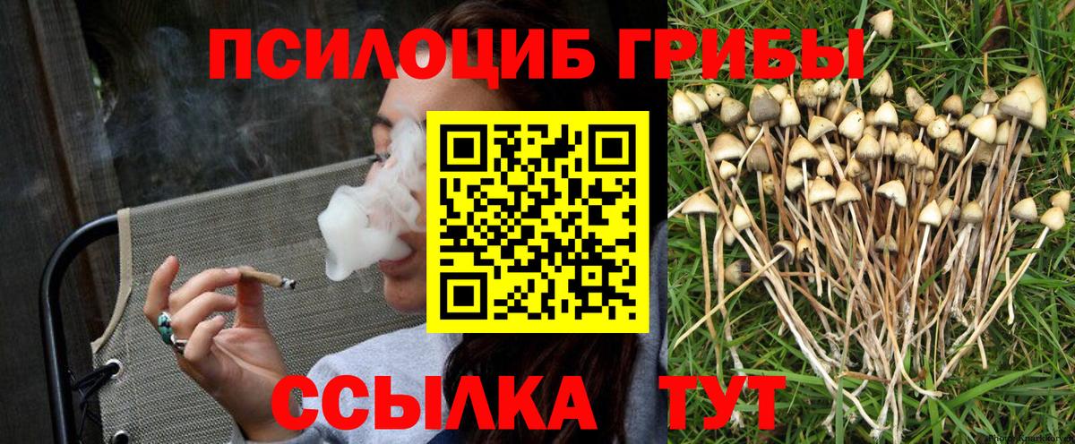Шахты  Галлюциногенные грибы мицелий  Вход с VPN 
