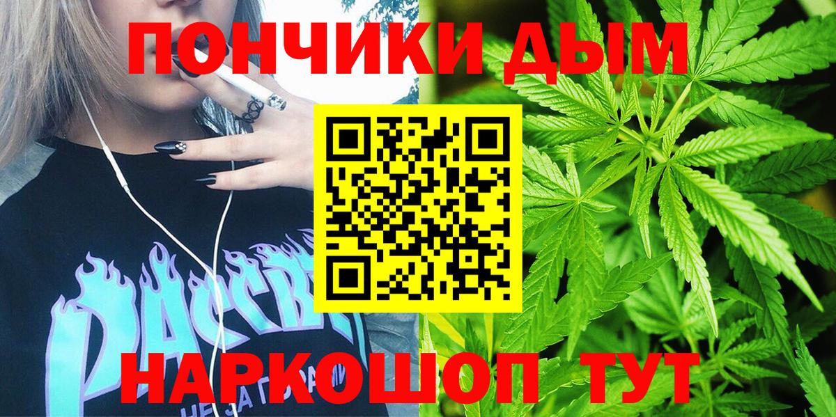 Конопля планчик Шахты